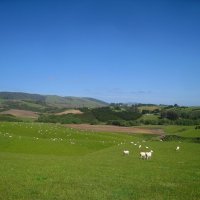 Кусочек Новой Зеландии. :: unix (Илья Утропов)