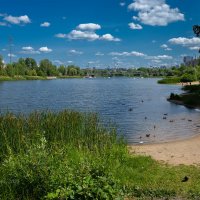 На Мещерском озере в Нижнем Новгороде :: Александр Синдерёв