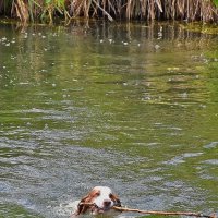 Задание! :: Валентина  Нефёдова 