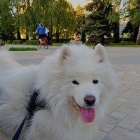 Жара! :: Валентина Нефёдова Жара! :: Валентина Нефёдова