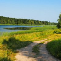 Дорога рыбаков по берегу озера. :: Милешкин Владимир Алексеевич 