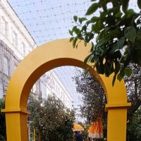 летний фестиваль :: Галина R...