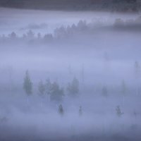 **** :: Елизавета . **** :: Елизавета .