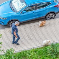 Бабушка завела, а дедушка гуляет :: Валерий Иванович Бабушка завела, а дедушка гуляет :: Валерий Иванович