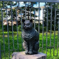Памятник самому преданному коту. :: Ольга 
