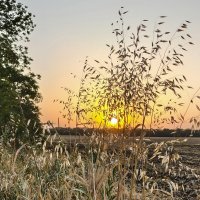 Золотой закат :: Валерий Ткаченко Золотой закат :: Валерий Ткаченко