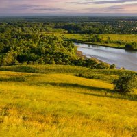 Летний вечер :: Игорь Сикорский