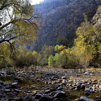 ПО НИЗАМ. :: Виктор Осипчук ПО НИЗАМ. :: Виктор Осипчук