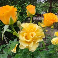 ,,, :: Сергей Тимоновский