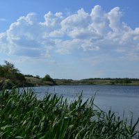 У пруда. :: Виктор 