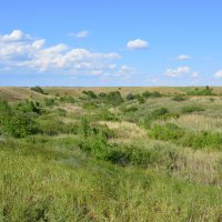 Донская степь. :: Виктор 