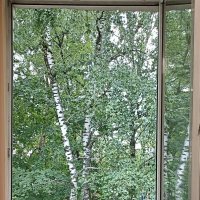 Вид из окна :: Татьяна Тюменка