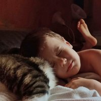 ... :: ВЛАДИМИР 