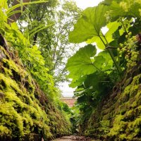 *    *    * :: Елена 