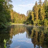 Июльские пейзажи: лесное озеро. :: Игорь Викторов