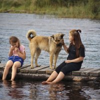 Верный друг :: Олег Иванов