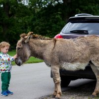 Знакомство :: Олег Иванов