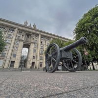 Пушшка :: Дмитрий Иванов