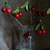 Натюрморт! :: жанна нечаева