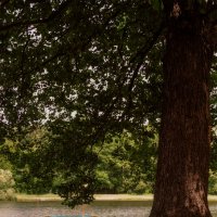 у водоёма :: Michel 