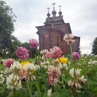 Коломенское :: Михаил Бибичков