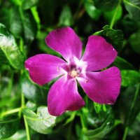 Вентилятор :: Людмила Смородинская