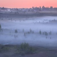 **** :: Елизавета .