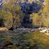 ПО НИЗАМ. :: Виктор Осипчук