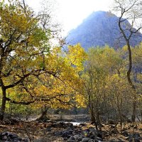 ПО НИЗАМ. :: Виктор Осипчук