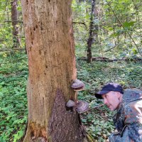 Кто там )) :: Денис Бочкарёв Кто там )) :: Денис Бочкарёв