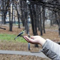 Из-за аппетита страх потеряла :: Alexandеr P Из-за аппетита страх потеряла :: Alexandеr P