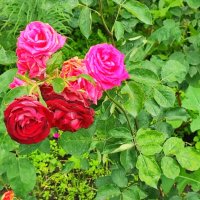 ,,, :: Сергей Тимоновский