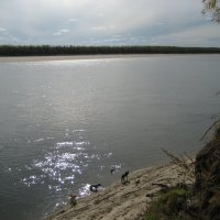 Жаркий день :: Anna Ivanova