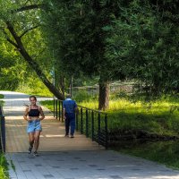 В Летнем Парке :: юрий поляков