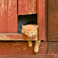 * :: Вадим * :: Вадим