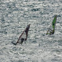 Ветренная погода :: daimos