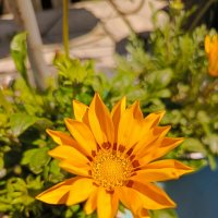 Гацания :: Татьяна Пальчикова