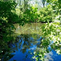 В ростовском зоопарке :: Нина Бутко