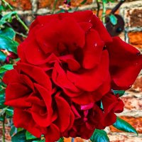 *** :: Андрей K.