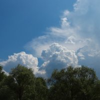 ... :: Елена Сиднина ... :: Елена Сиднина