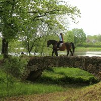 Орловский парк :: Наталья Герасимова