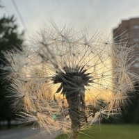 Летний свитер )) :: Анна Камс