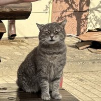 Гладьте меня, гладьте :: Мария - Maria