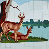 У водоёма! :: Надежда У водоёма! :: Надежда