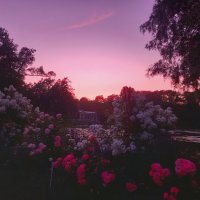 Закат :: Сапсан 