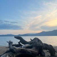 Озеро :: Георгиевич 