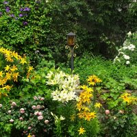 Городские цветы :: Милешкин Владимир Алексеевич Городские цветы :: Милешкин Владимир Алексеевич