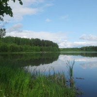 Алёнушкин пруд :: Лидия Бусурина