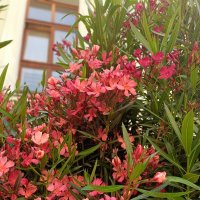 на улицах города :: Галина R... на улицах города :: Галина R...