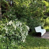 Скамейка :: Veera V